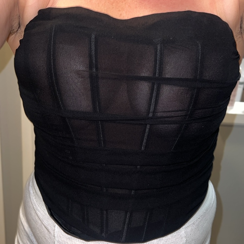 Zara bonded sheer corseted style -like piece